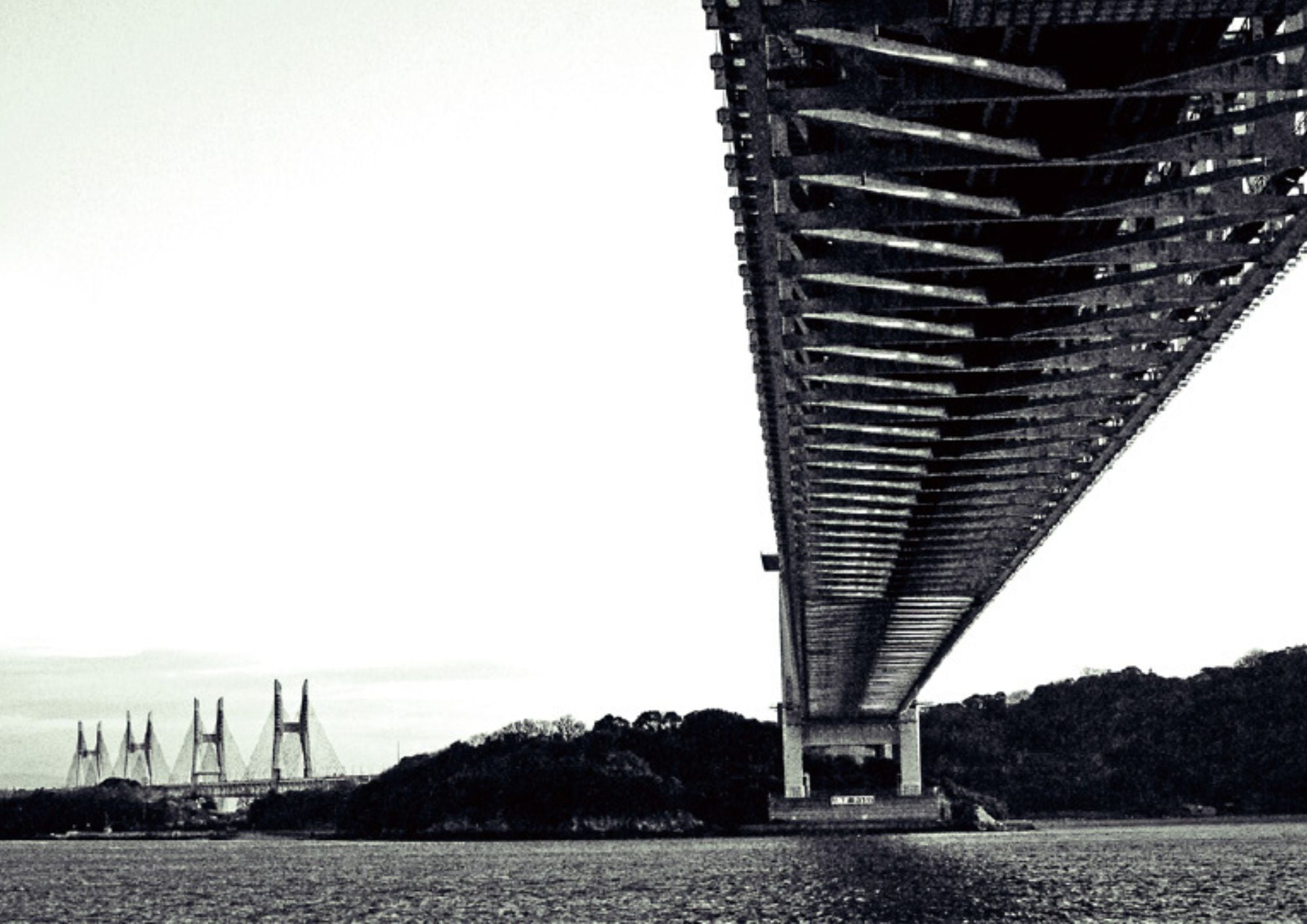 Untitled_design_2