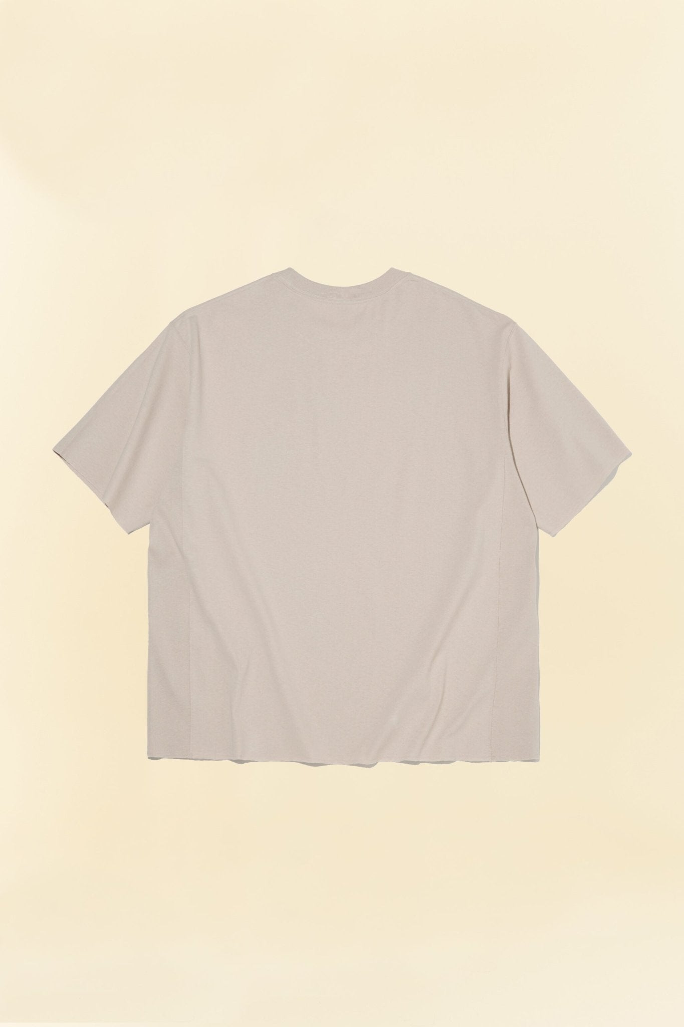 Radiall Old School T-Shirt - Taupe - Radiall - URAHARA